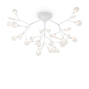 Freya Modern Florencia Потолочный светильник FR5049CL-36W1