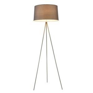 Freya Modern Bonita Напольный светильник (торшер) FR5152-FL-01-GR